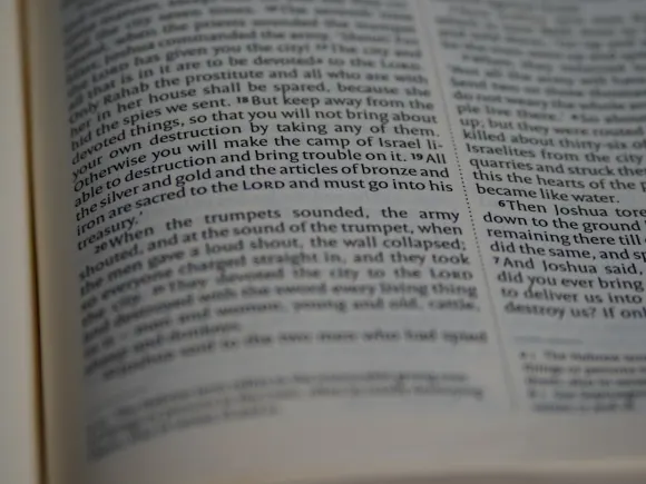 Casino Grand Eagle Ondersteuning